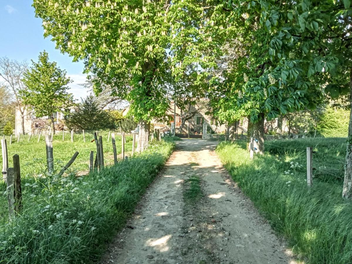 Saint-Cyr  "La Voute De Pierre" Gite Independant מראה חיצוני תמונה