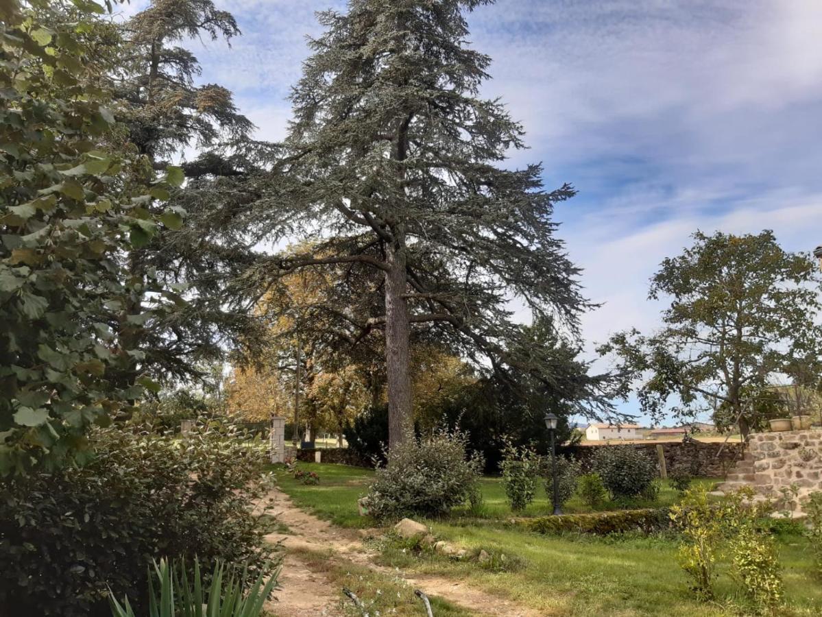 Saint-Cyr  "La Voute De Pierre" Gite Independant מראה חיצוני תמונה
